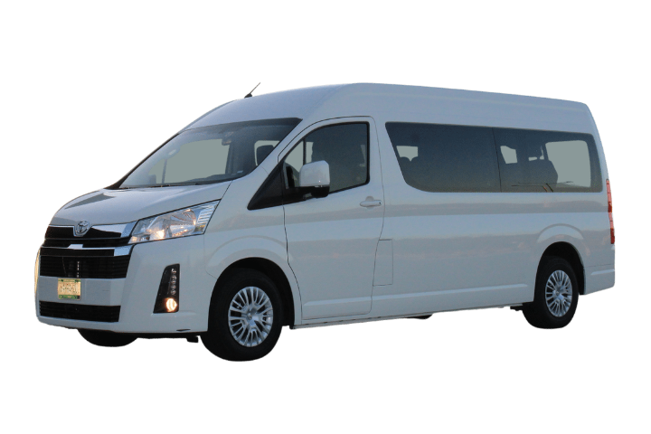 Economic Airport Transportation